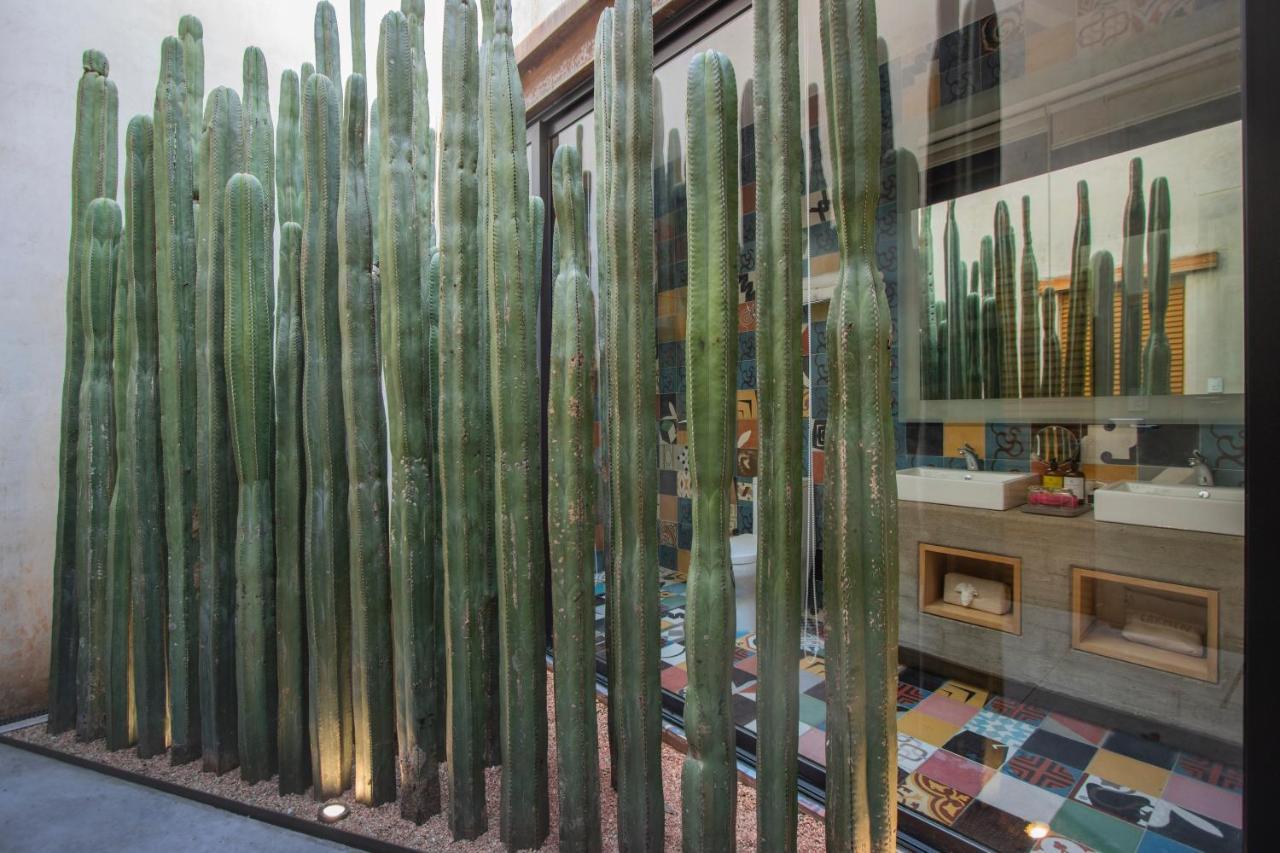 Casa Carmen Reforma Hotel Oaxaca ภายนอก รูปภาพ