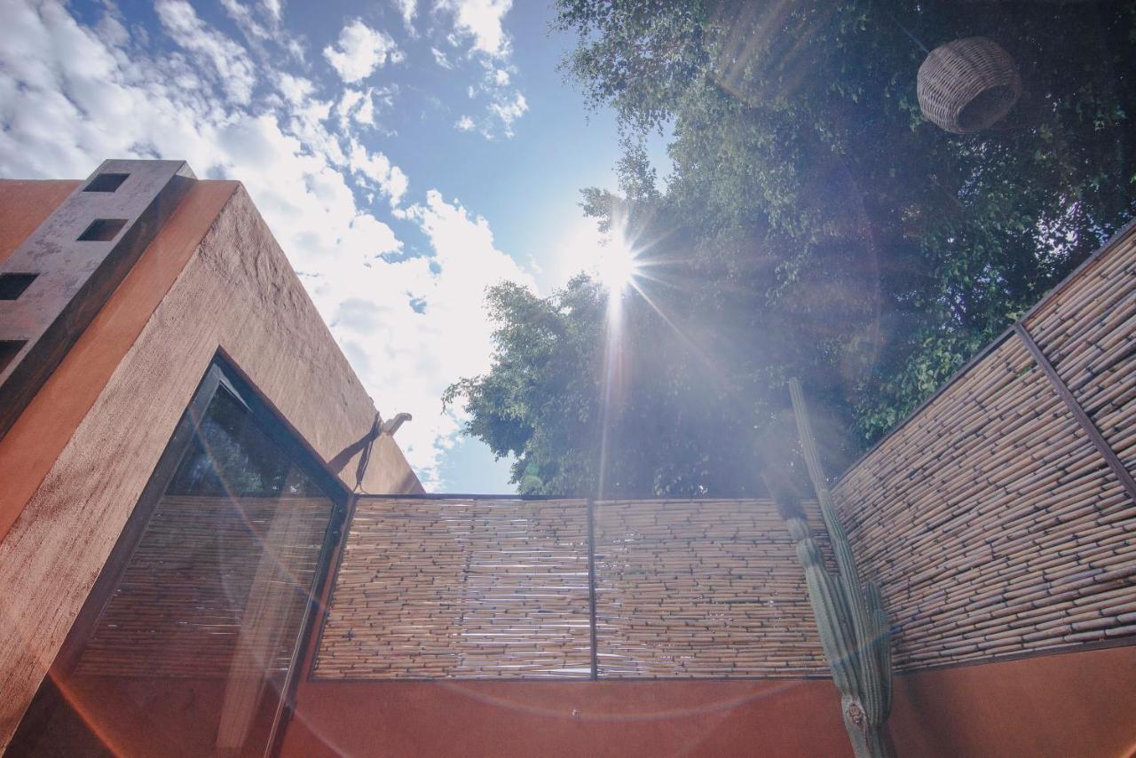 Casa Carmen Reforma Hotel Oaxaca ภายนอก รูปภาพ