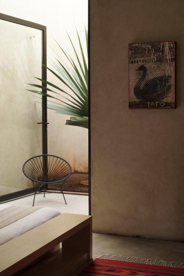 Casa Carmen Reforma Hotel Oaxaca ภายนอก รูปภาพ