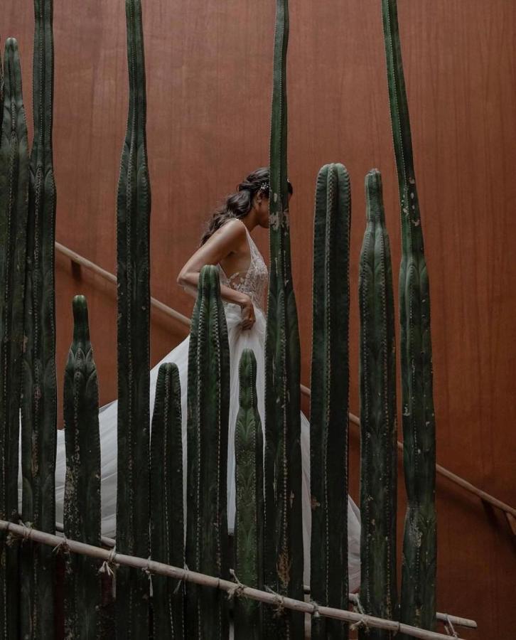 Casa Carmen Reforma Hotel Oaxaca ภายนอก รูปภาพ