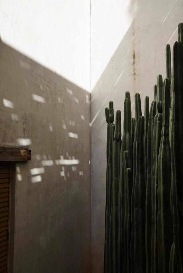 Casa Carmen Reforma Hotel Oaxaca ภายนอก รูปภาพ