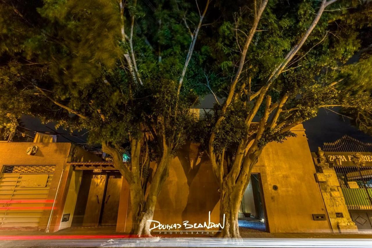 Casa Carmen Reforma Hotel Oaxaca ภายนอก รูปภาพ